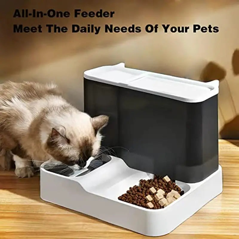 2-in-1 Automatic Pet Feeder