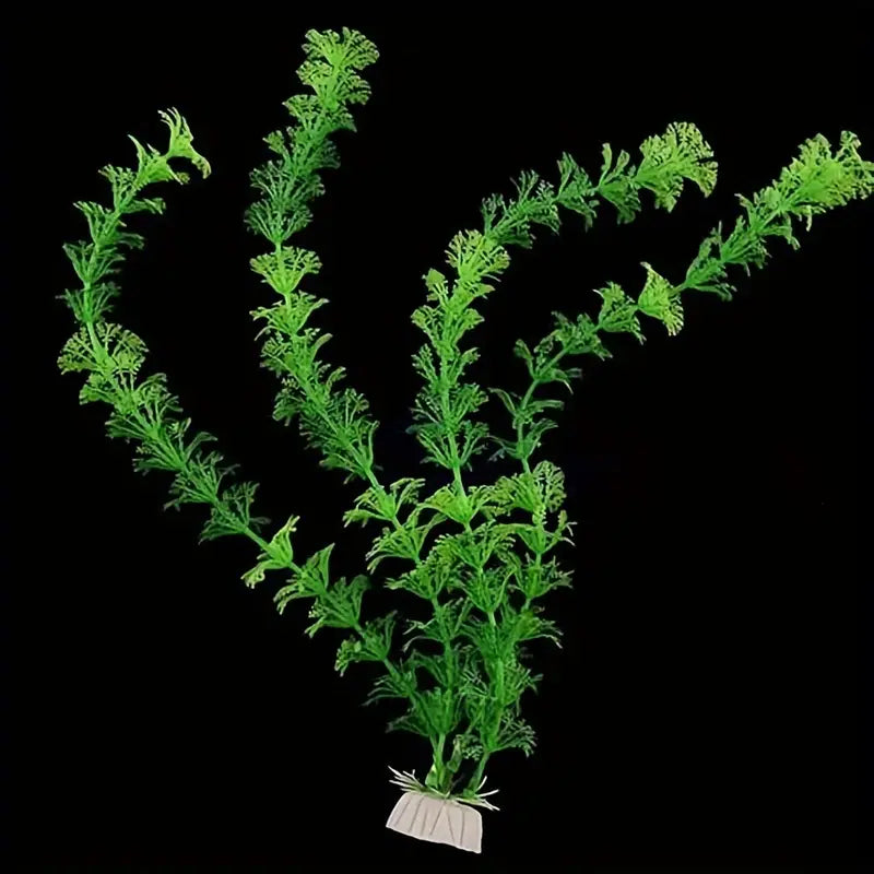 Simulation Aquatic Plants