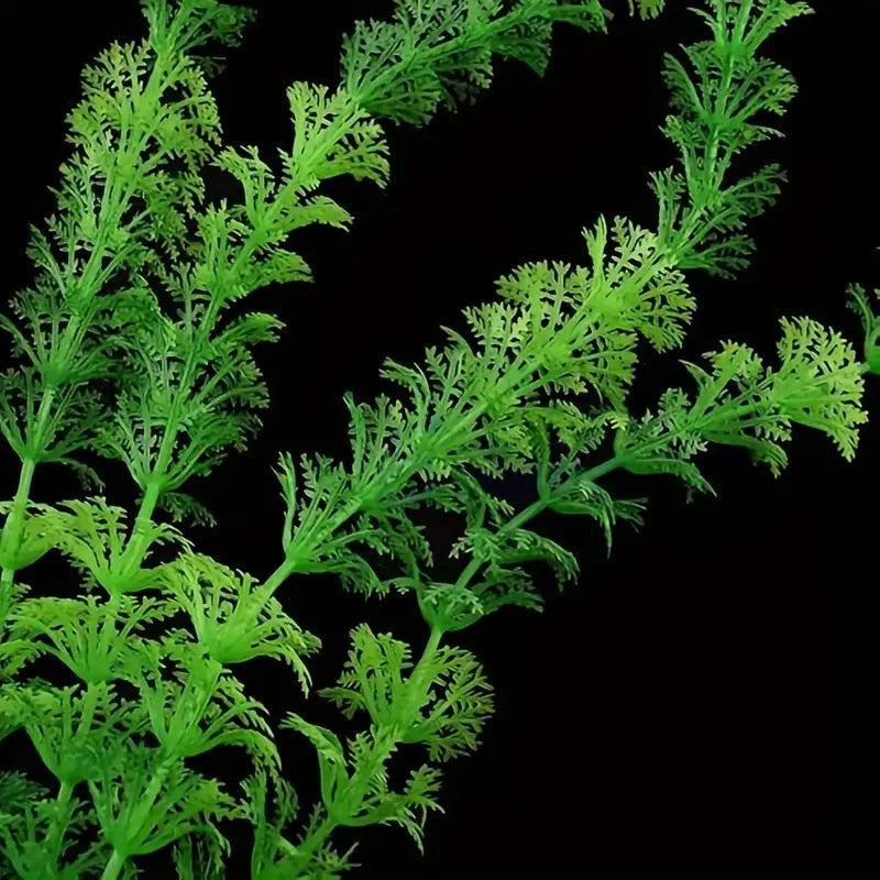 Simulation Aquatic Plants