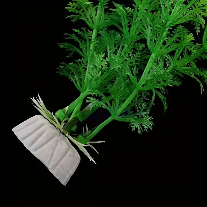 Simulation Aquatic Plants