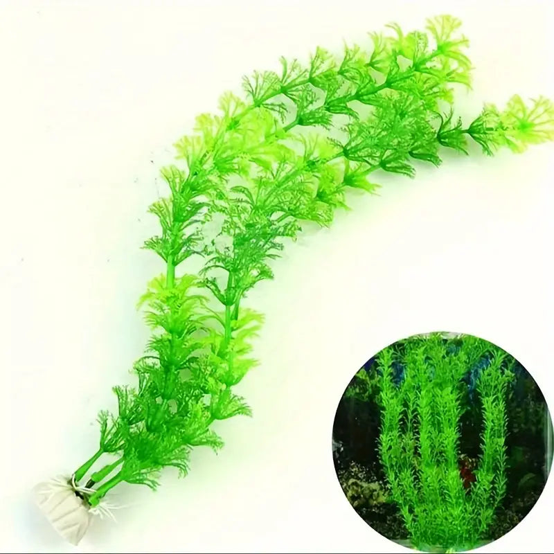 Simulation Aquatic Plants