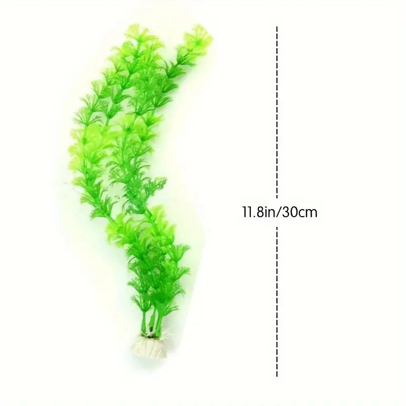 Simulation Aquatic Plants