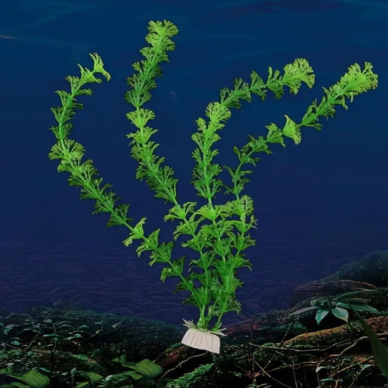Simulation Aquatic Plants