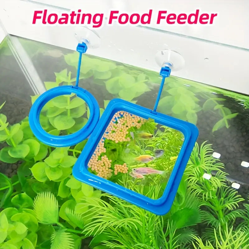 Non-Slip Fish Feeding Rings for Aquariums
