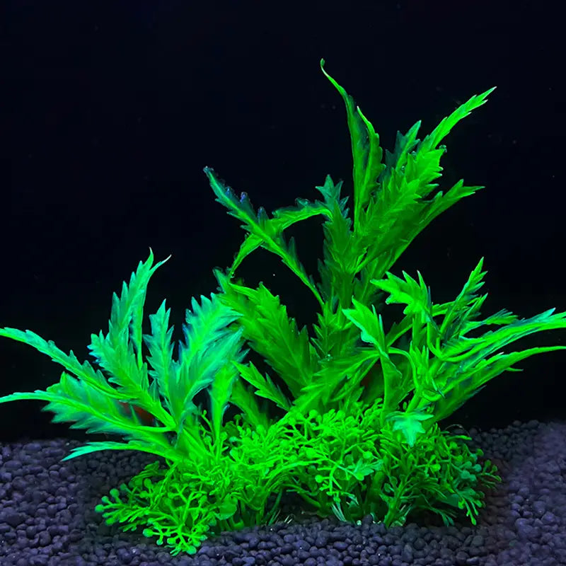 Artificial Aquatic Plants