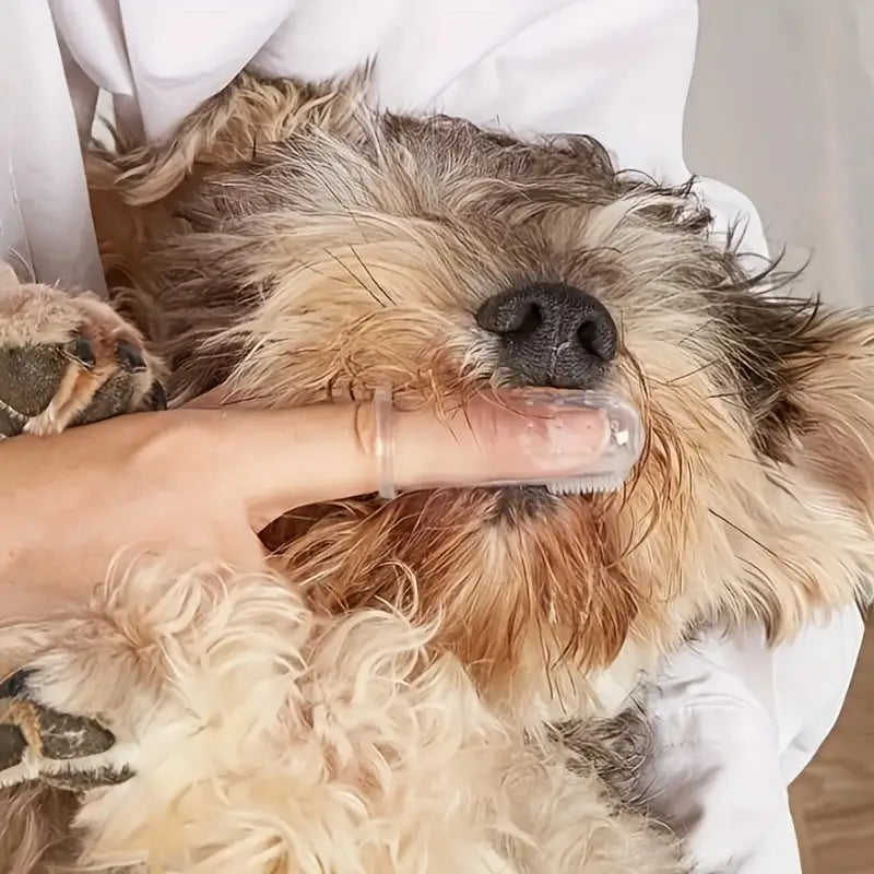 Finger Toothbrush For Dogs & Cats
