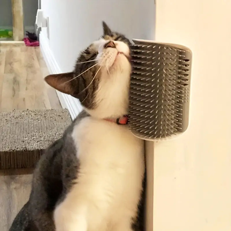 Wall-Mounted Cat Self Groomer with Massage Comb Brush