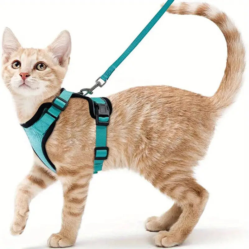 Escape-Proof Soft Adjustable Cat Harness & Leash