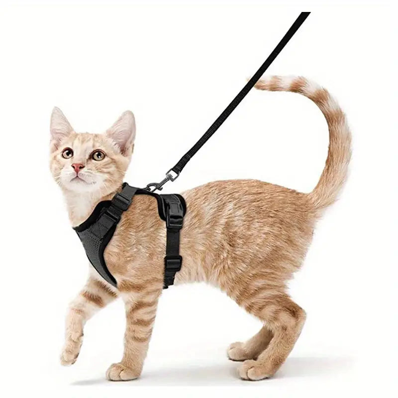 Escape-Proof Soft Adjustable Cat Harness & Leash
