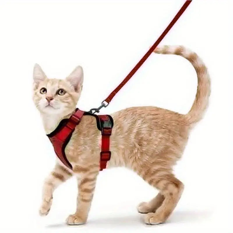 Escape-Proof Soft Adjustable Cat Harness & Leash