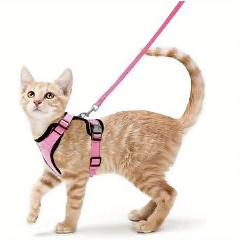 Escape-Proof Soft Adjustable Cat Harness & Leash