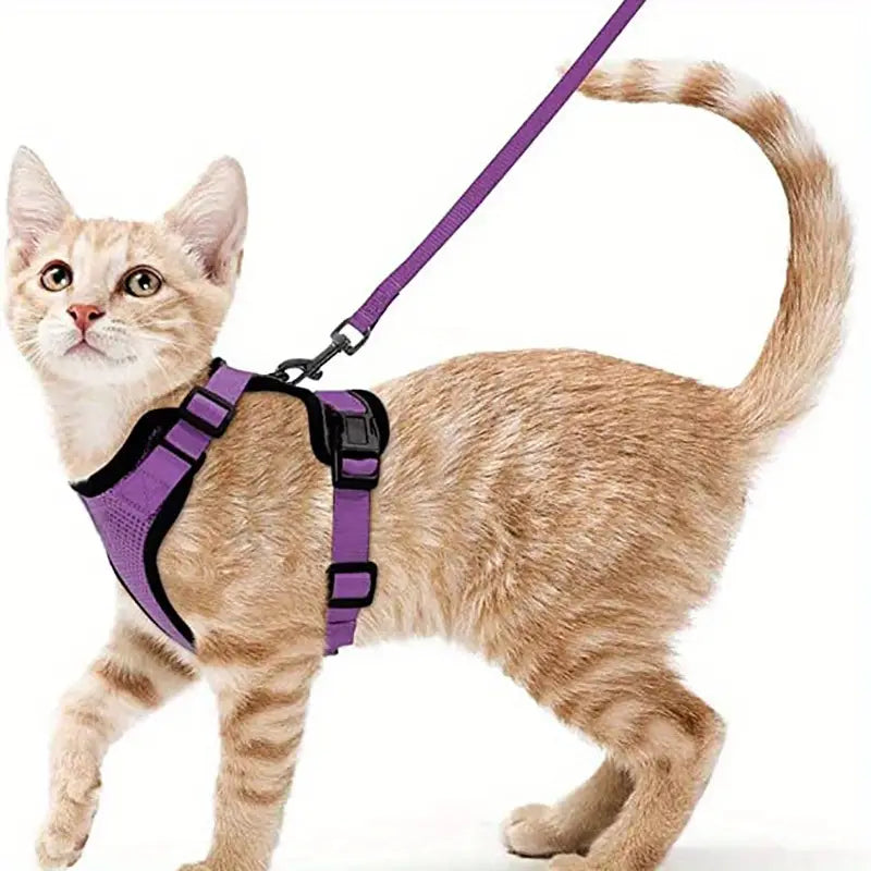 Escape-Proof Soft Adjustable Cat Harness & Leash