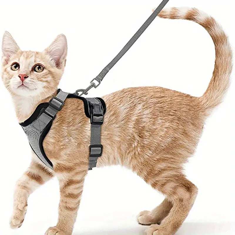 Escape-Proof Soft Adjustable Cat Harness & Leash