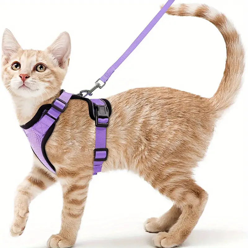Escape-Proof Soft Adjustable Cat Harness & Leash