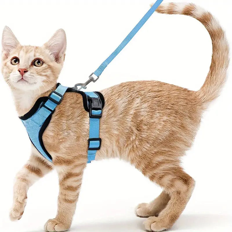Escape-Proof Soft Adjustable Cat Harness & Leash