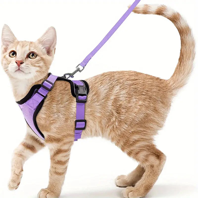 Escape-Proof Soft Adjustable Cat Harness & Leash