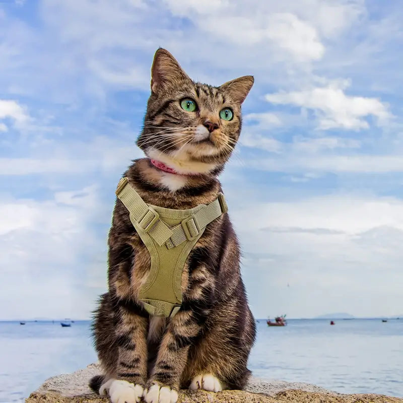 Adjustable 600D Tactical Pet Vest Harness