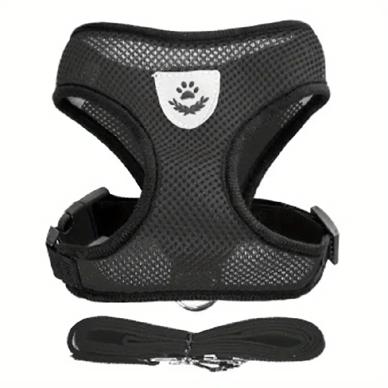 Mesh Dog Harness & Leash Set