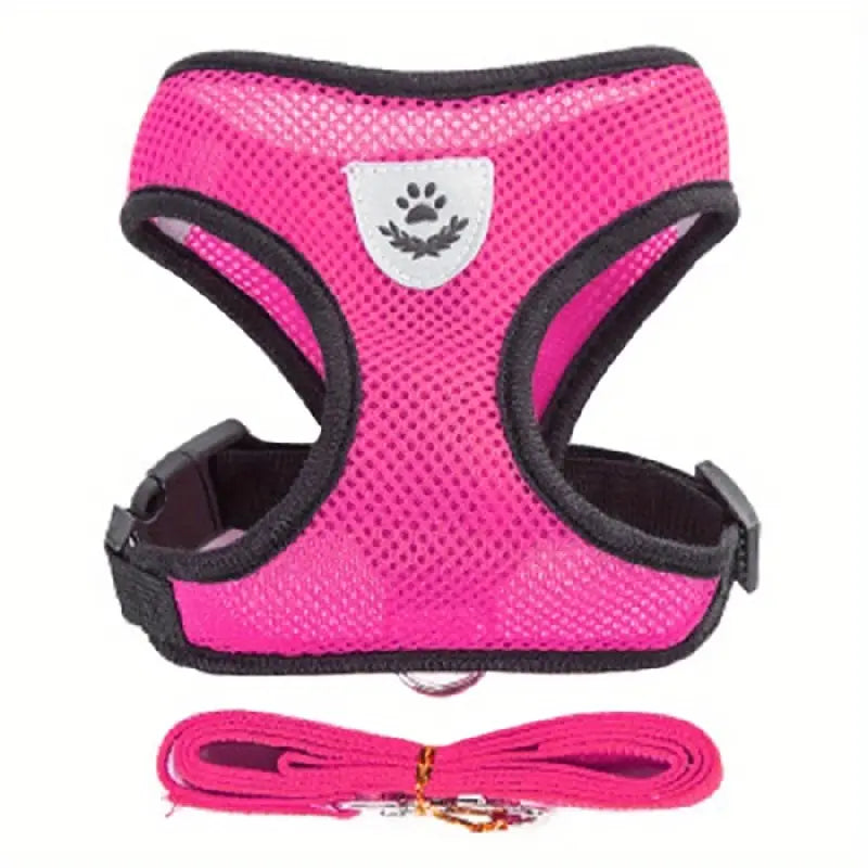 Mesh Dog Harness & Leash Set