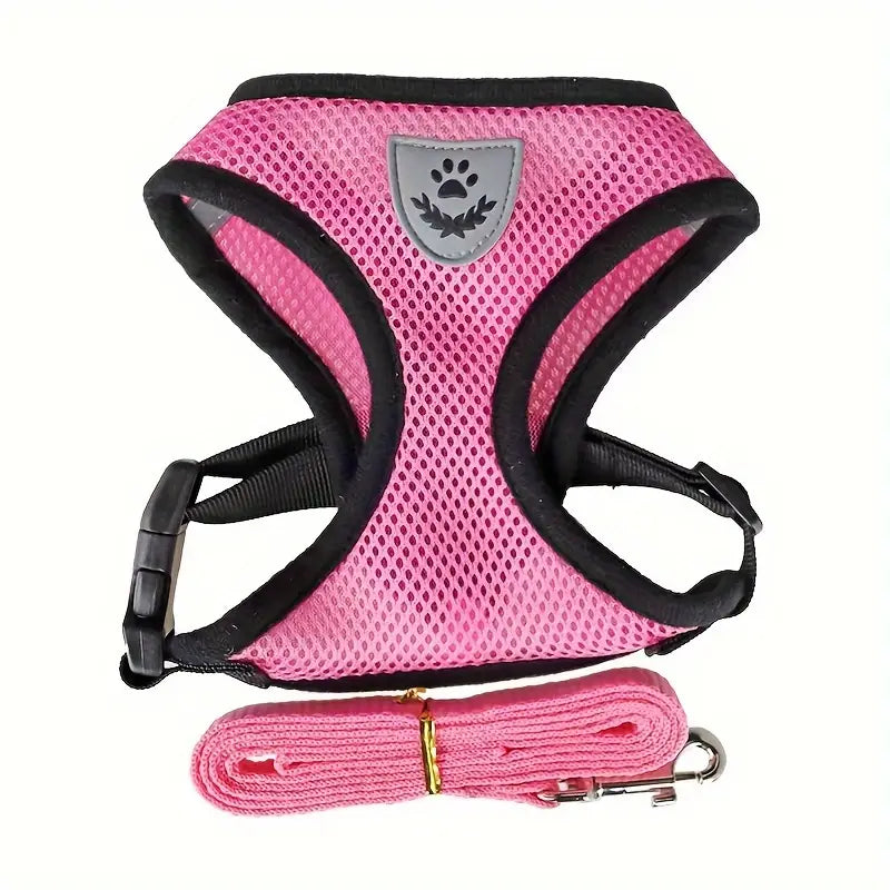 Mesh Dog Harness & Leash Set