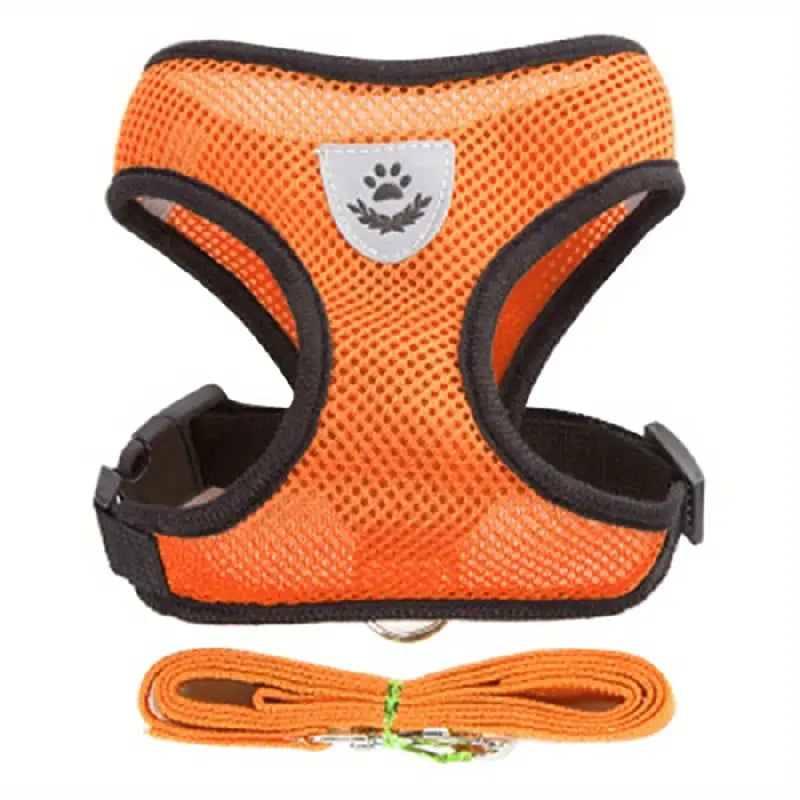 Mesh Dog Harness & Leash Set