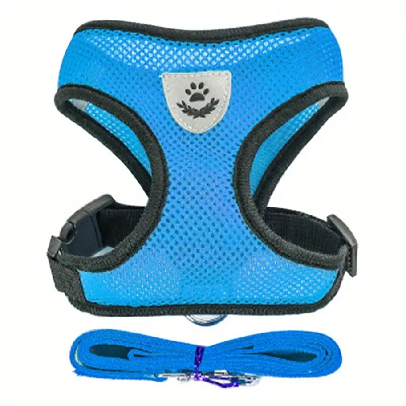 Mesh Dog Harness & Leash Set
