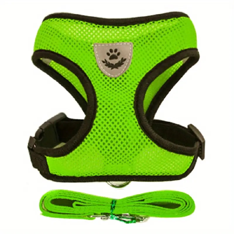 Mesh Dog Harness & Leash Set