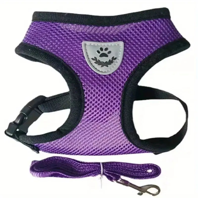 Mesh Dog Harness & Leash Set