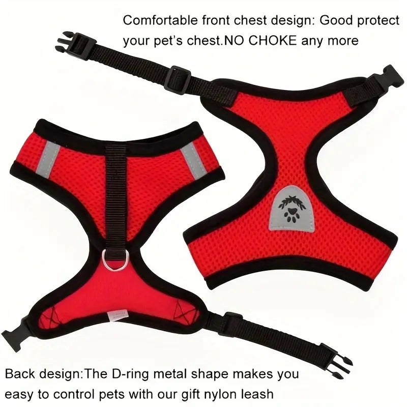Mesh Dog Harness & Leash Set
