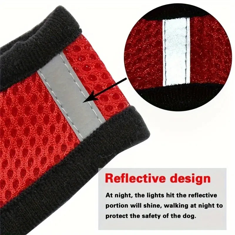 Mesh Dog Harness & Leash Set