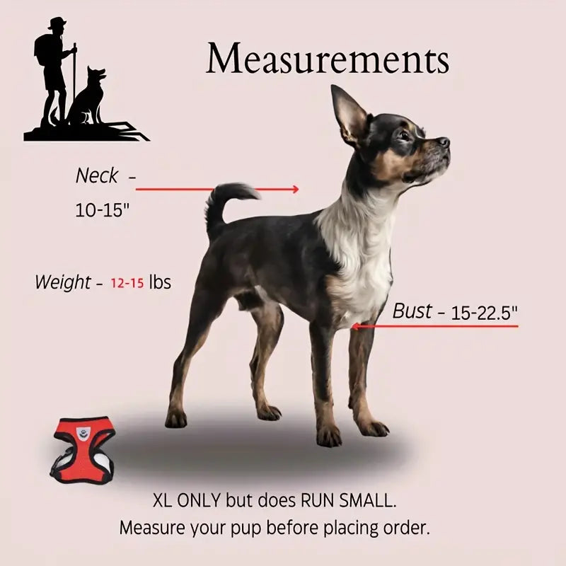 Mesh Dog Harness & Leash Set