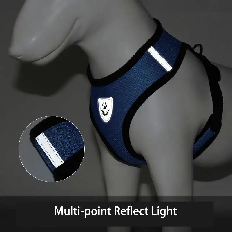 Mesh Dog Harness & Leash Set