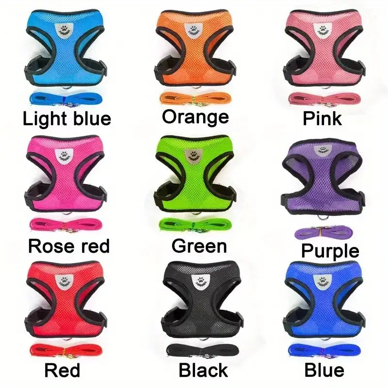 Mesh Dog Harness & Leash Set