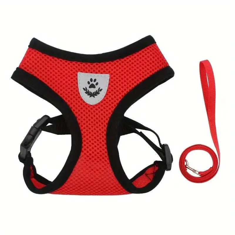 Mesh Dog Harness & Leash Set