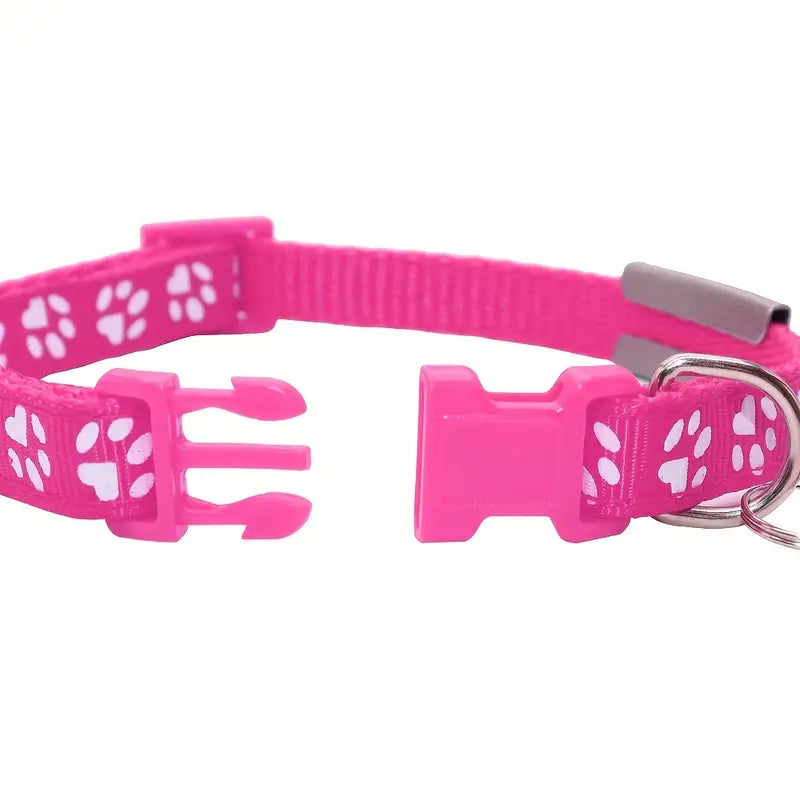 Personalised Collar