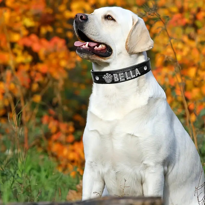 Personalized PU Leather Dog Collars