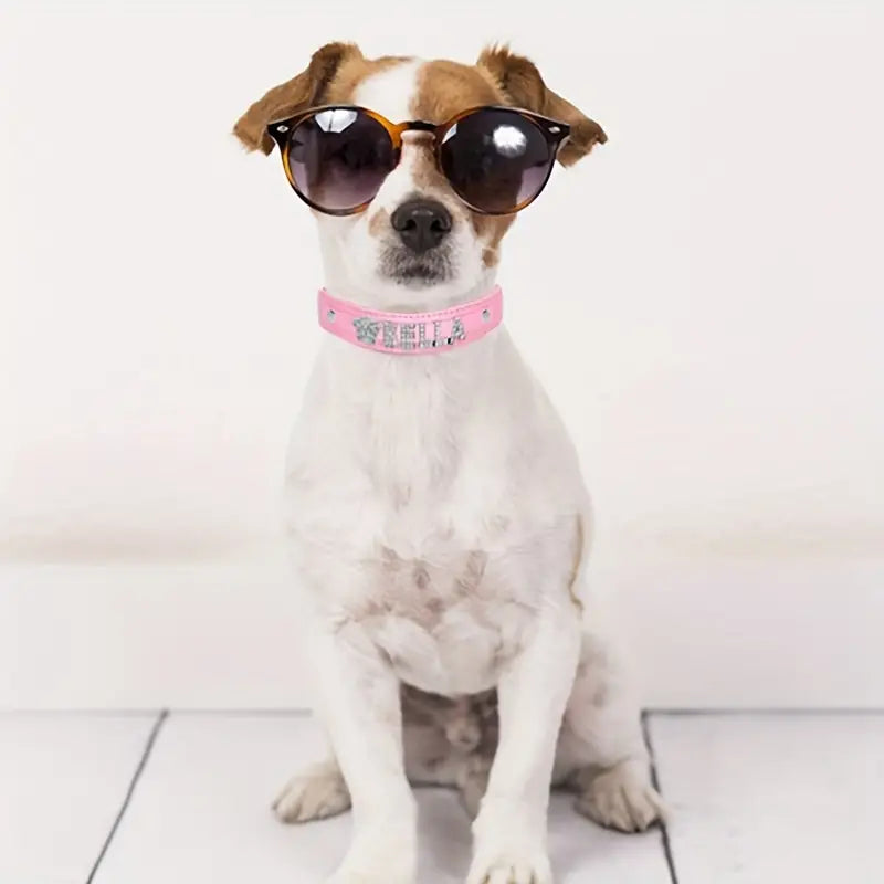 Personalized PU Leather Dog Collars