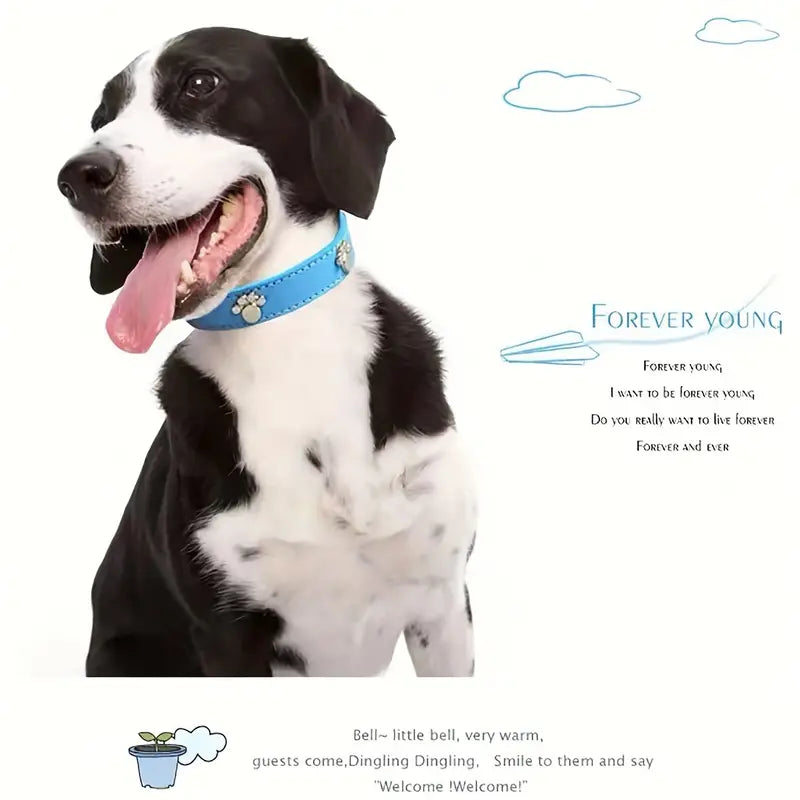 Footprint Pattern Pet Collar
