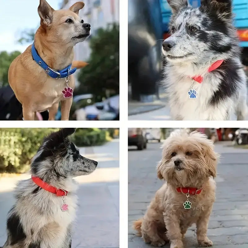 Pet Personalized Dog ID Tag