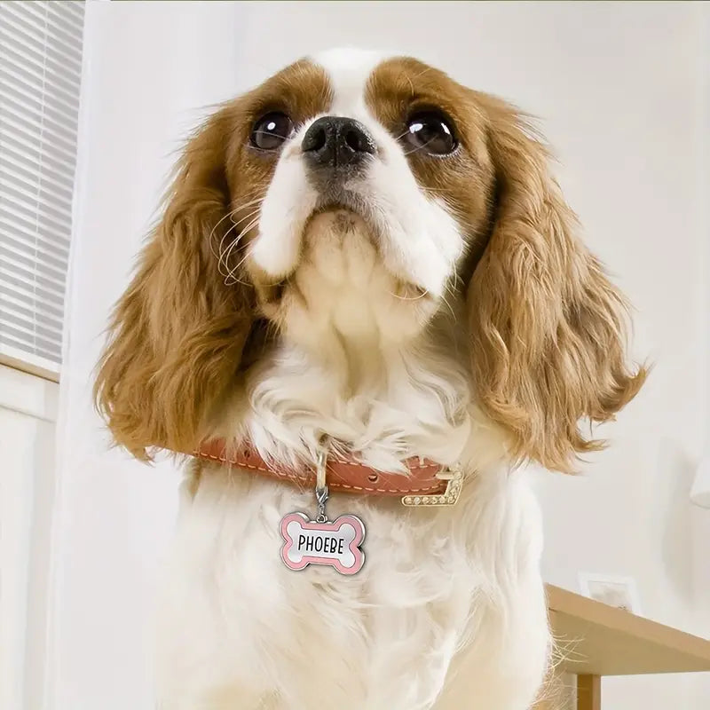 Personalized Engraved Dog Tag