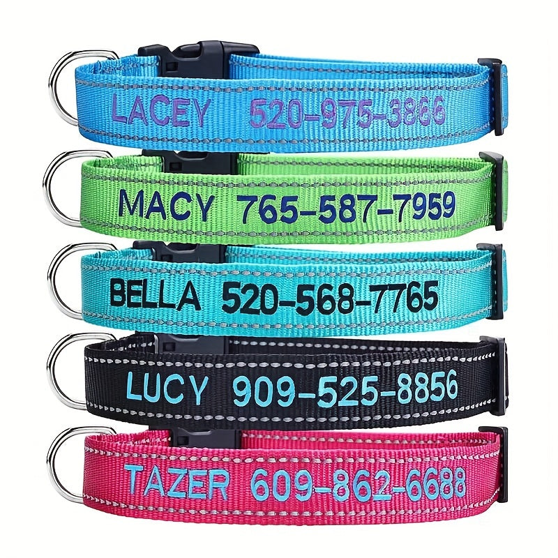 Embroidered Pet Name & Phone Collar