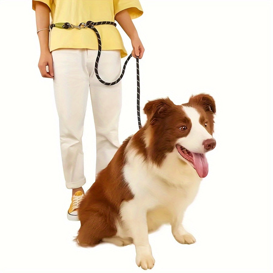 Reflective Night Safety Dog Leash - Hands-Free
