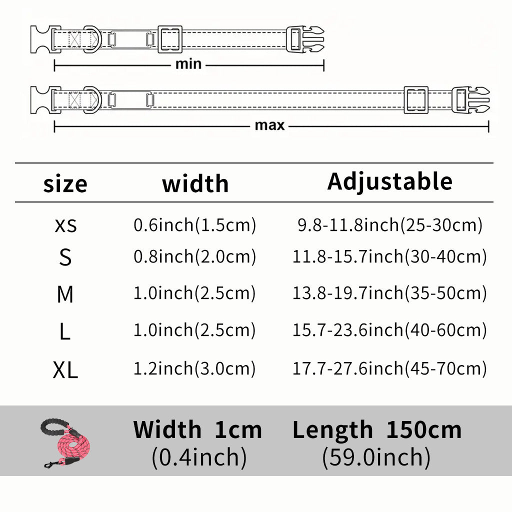 Shiny Guard Personalized Dog Collar & Leash Set