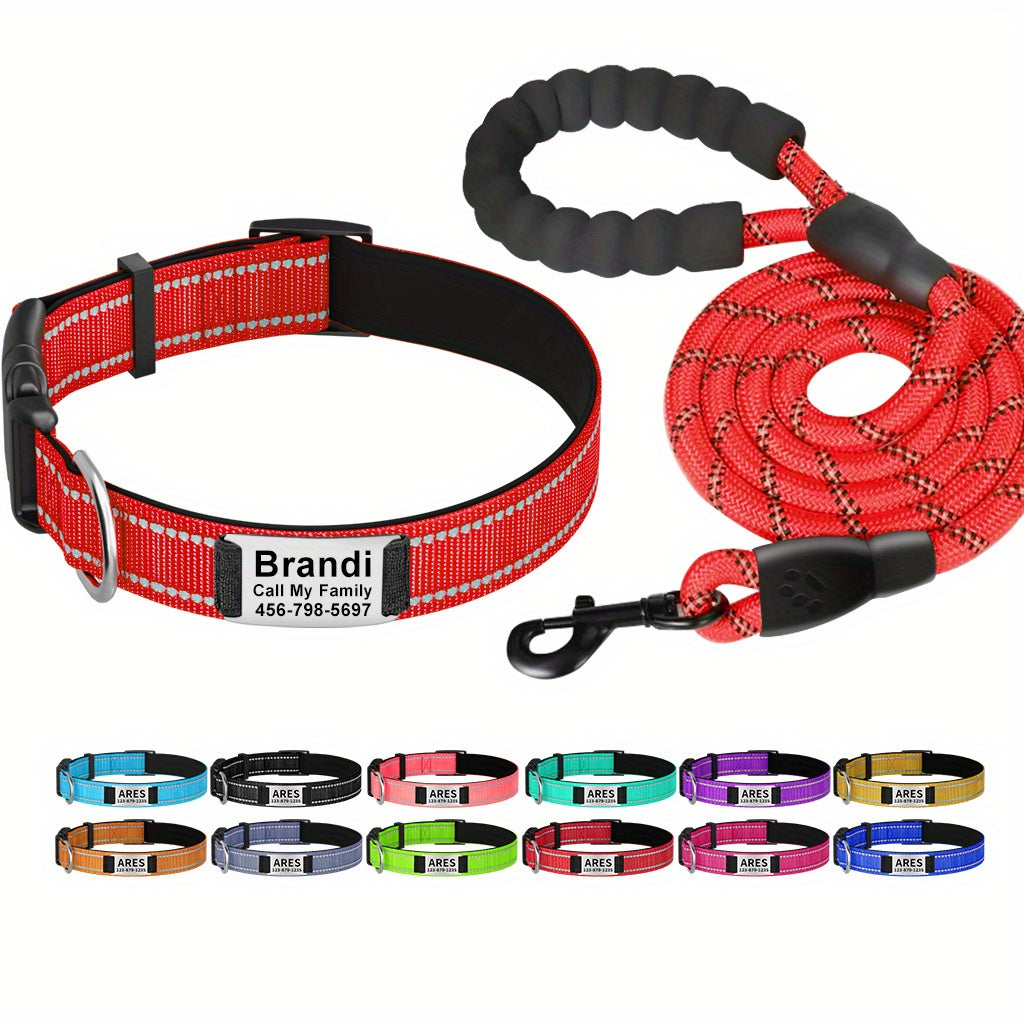 Shiny Guard Personalized Dog Collar & Leash Set