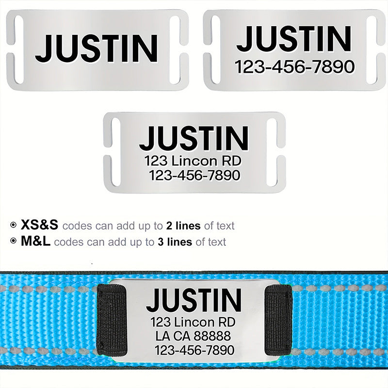 Shiny Guard Personalized Dog Collar & Leash Set