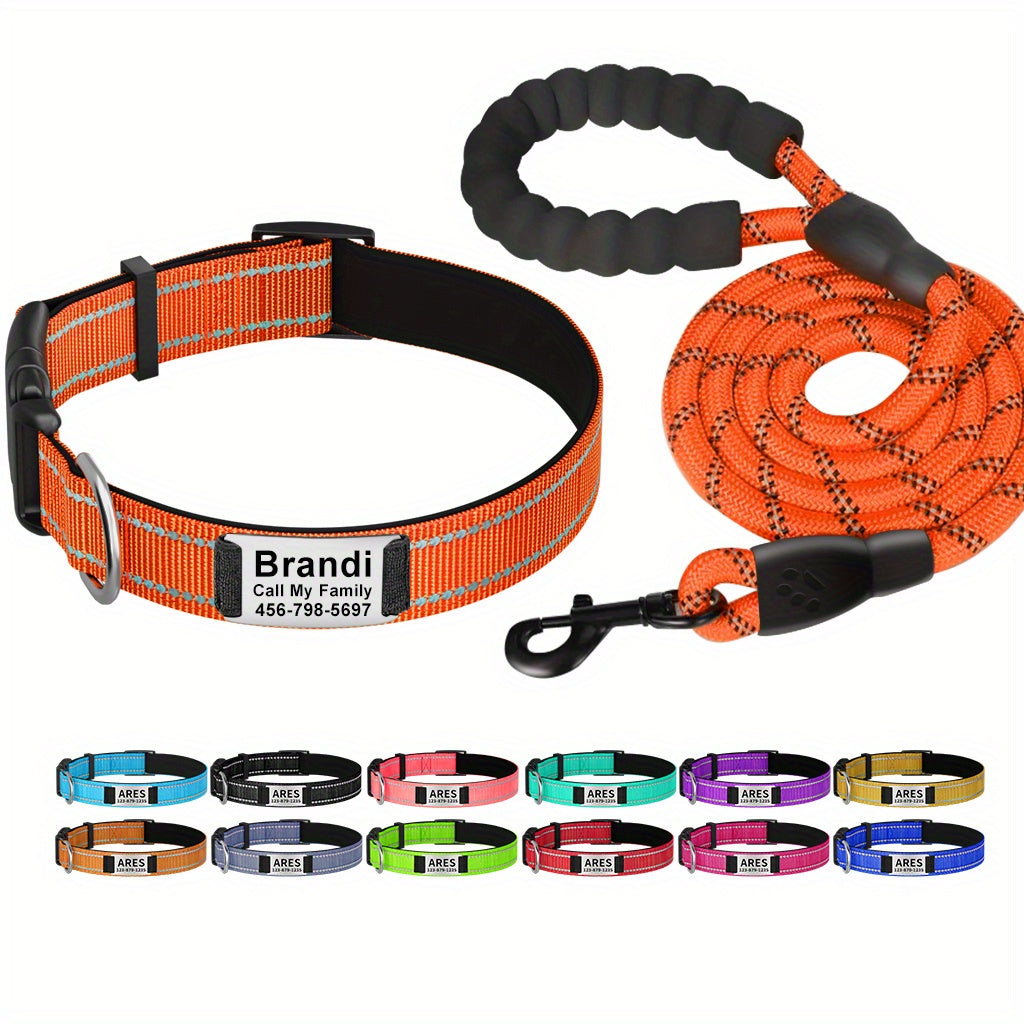 Shiny Guard Personalized Dog Collar & Leash Set