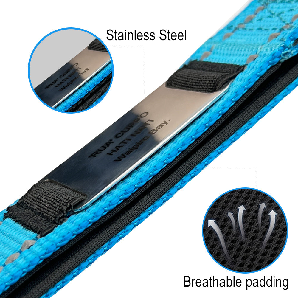 Shiny Guard Personalized Dog Collar & Leash Set