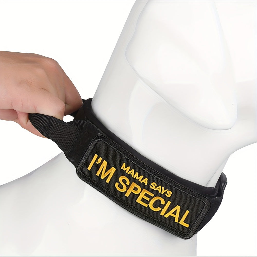 Heavy Duty Tactical Dog Collar with High-Strength Metal Buckle