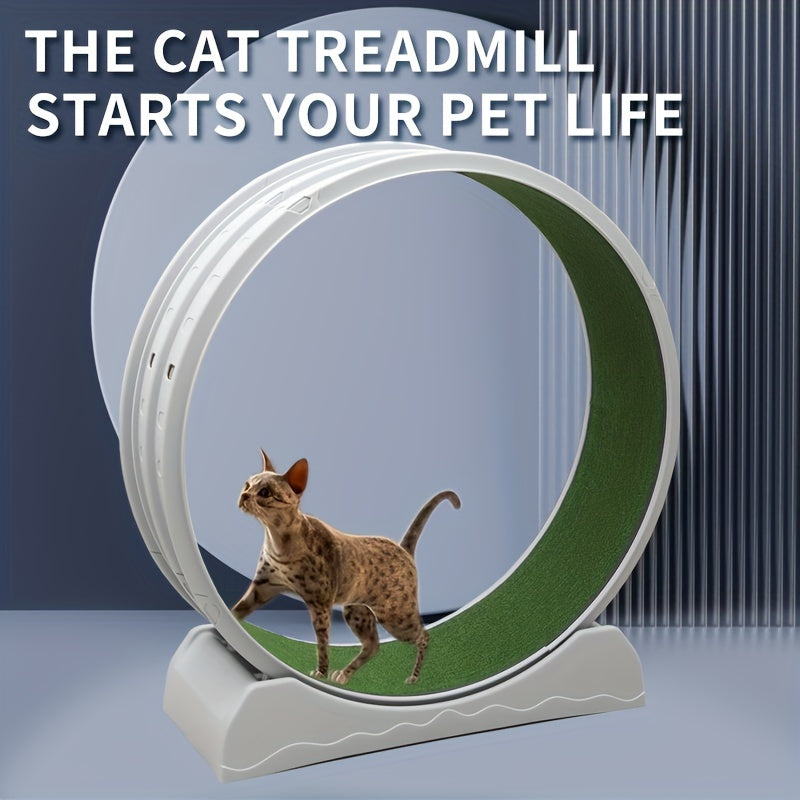 Indoor Cat Roller Treadmill