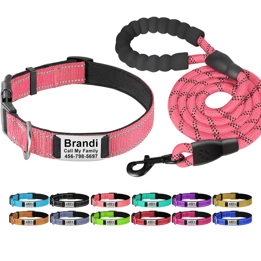 Shiny Guard Personalized Dog Collar & Leash Set